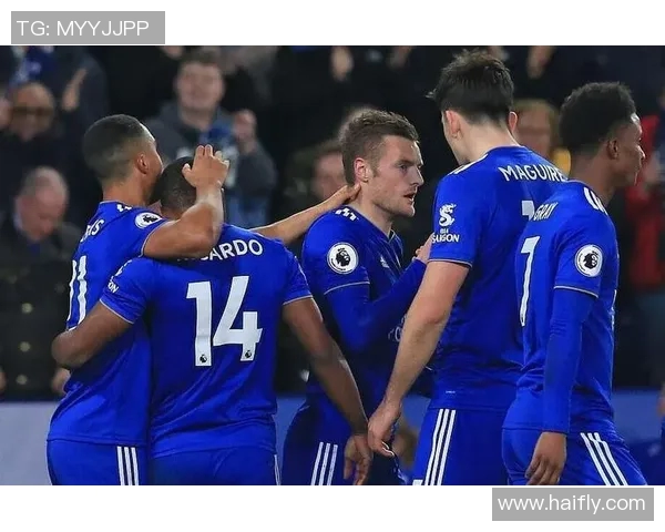 加的夫城对阵狼队精彩比赛回顾与战术分析