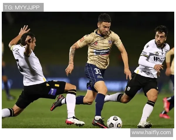 格拉夫夏普与鹿特丹斯巴达的精彩对决分析与赛前展望