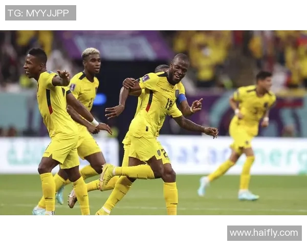 阿根廷与厄瓜多尔队员对决分析及比赛前瞻 阿根廷与厄瓜多尔队员对决分析及比赛前瞻