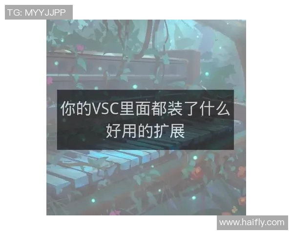 在VS代码中如何设置输入次数限制以提高编程效率和准确性